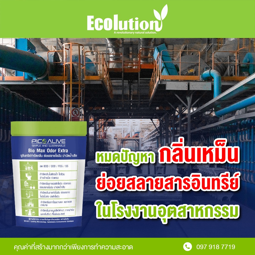 หมดปัญห... - ผลิตภัณฑ์ทำความสะอาดและอุปกรณ์กำจัดแมลง Ecolution