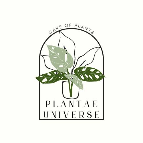 Plantae Universe