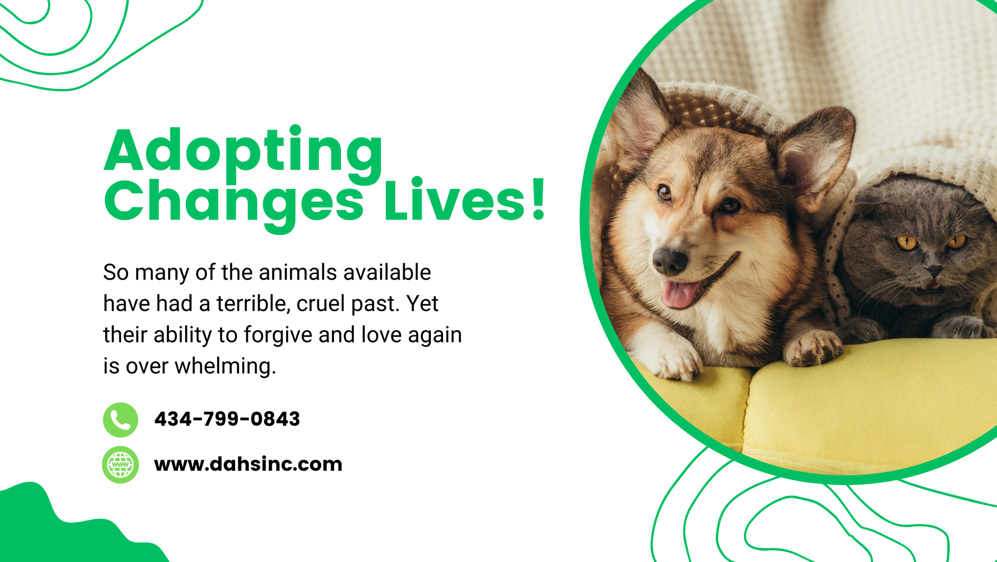 Danville Area Humane Society Virginia | Danville VA