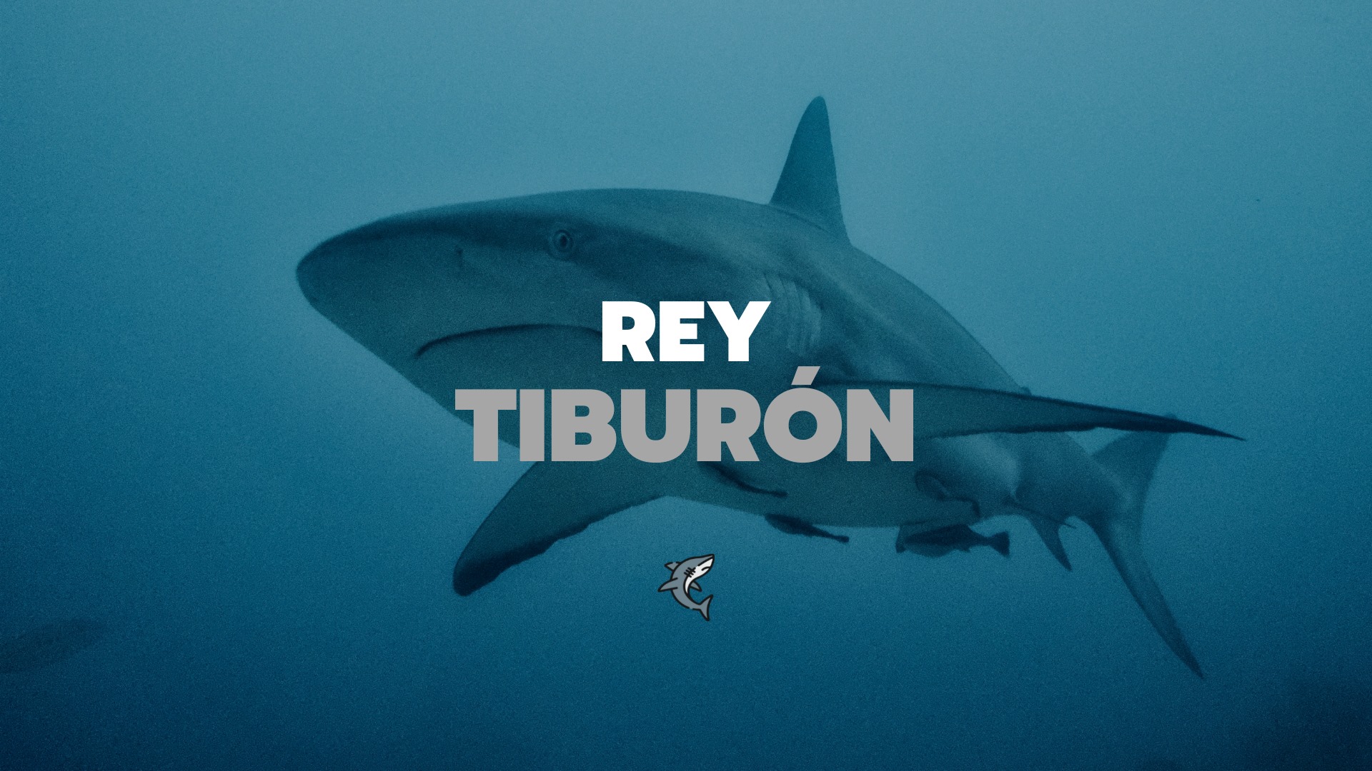 El Rey Tiburón