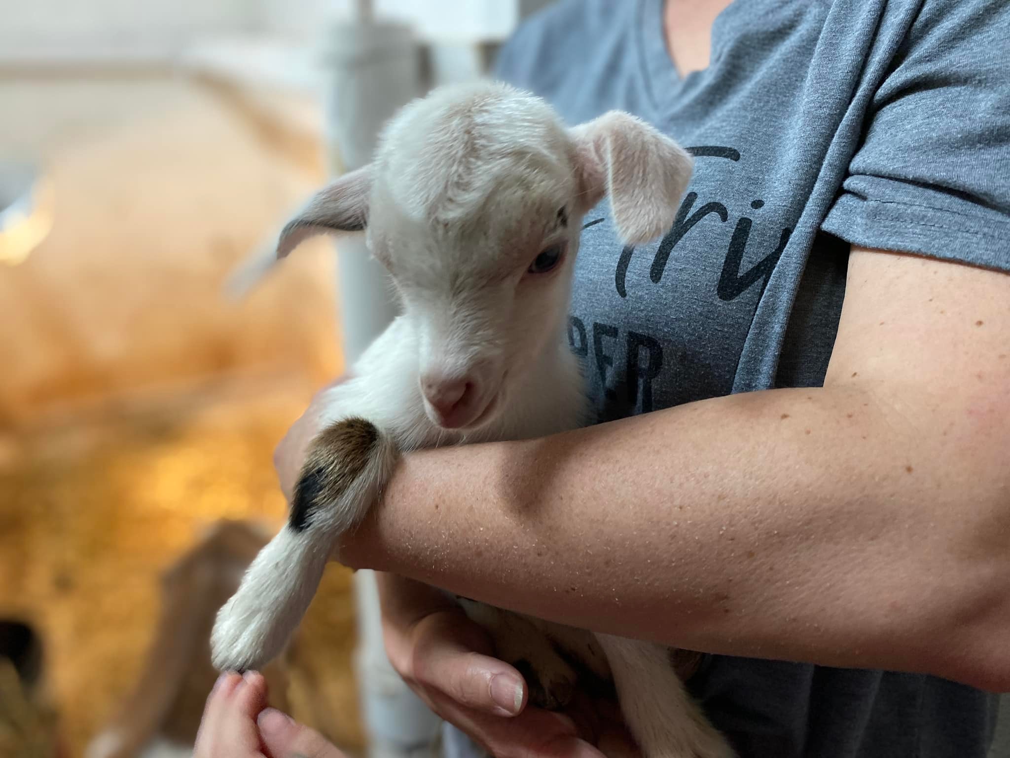 GIC Ranch & Education Center | Topeka KS