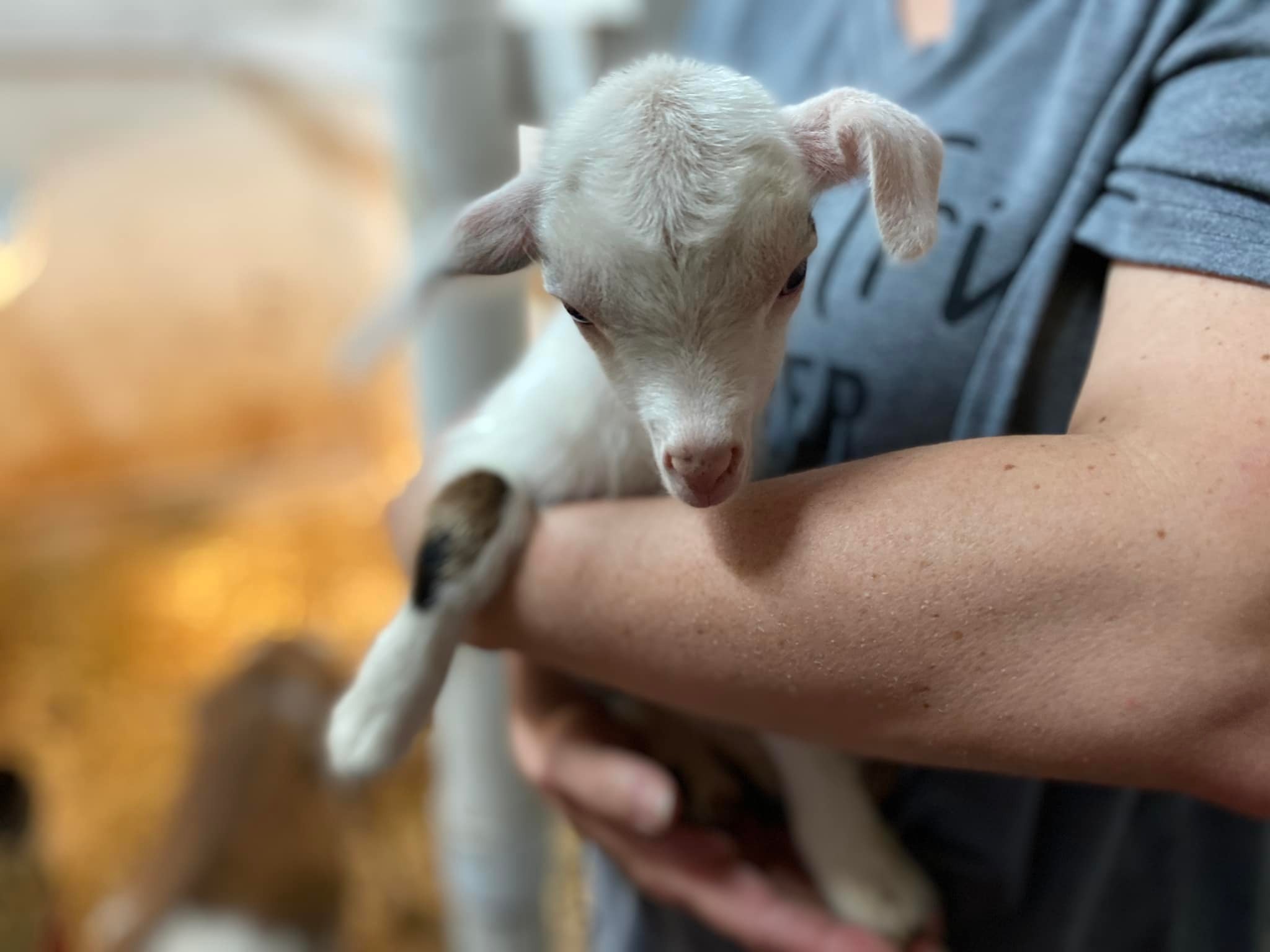 GIC Ranch & Education Center | Topeka KS