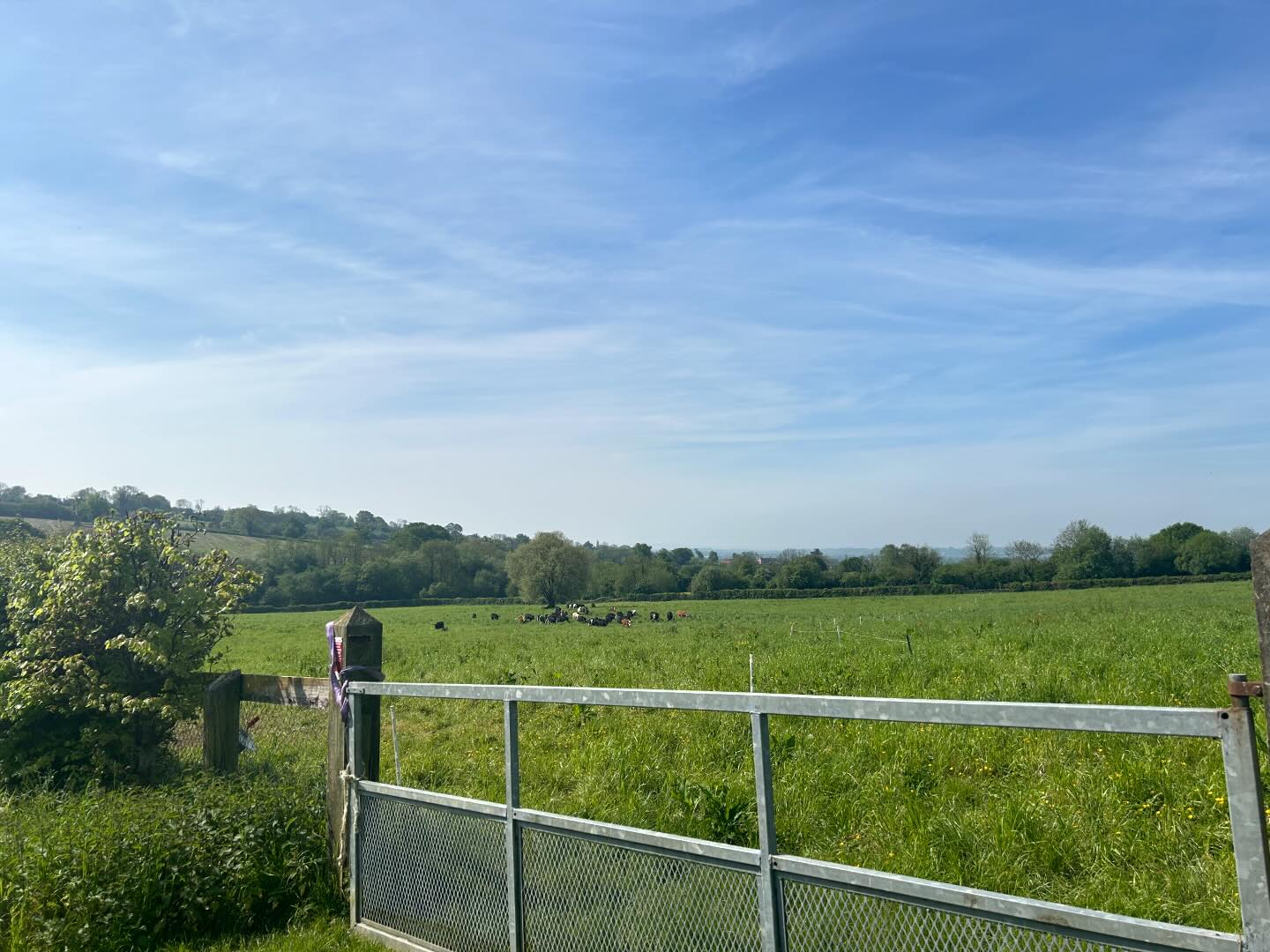Littlebrook Farm | Gillingham