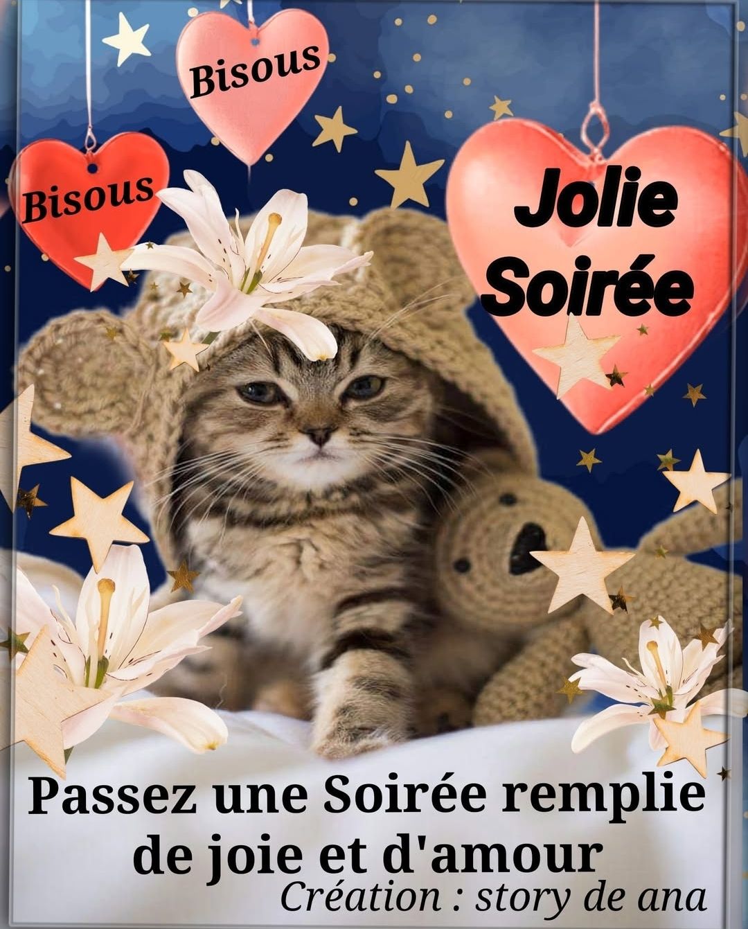 Débardeur Humour "Je Vous Aime Bien Mais Je Préfère Les Chats" - Cadeau Chat Lover