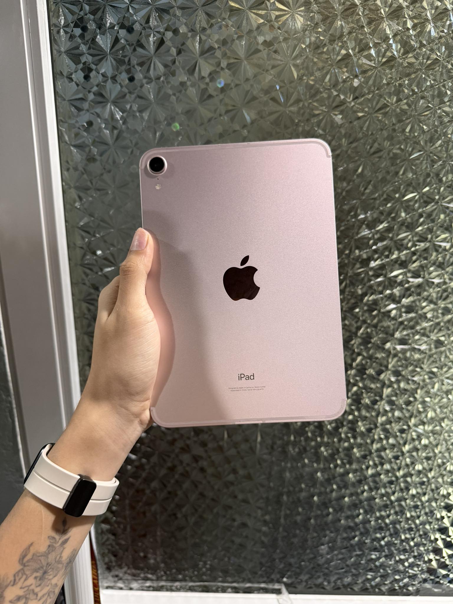 iPad Mini 6 PINK 256GB with simsot (cellular)