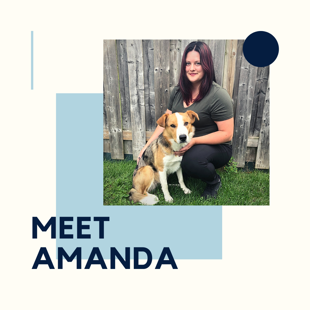 Meet our newest RVT, Amanda!!!!... - Western Animal Clinic