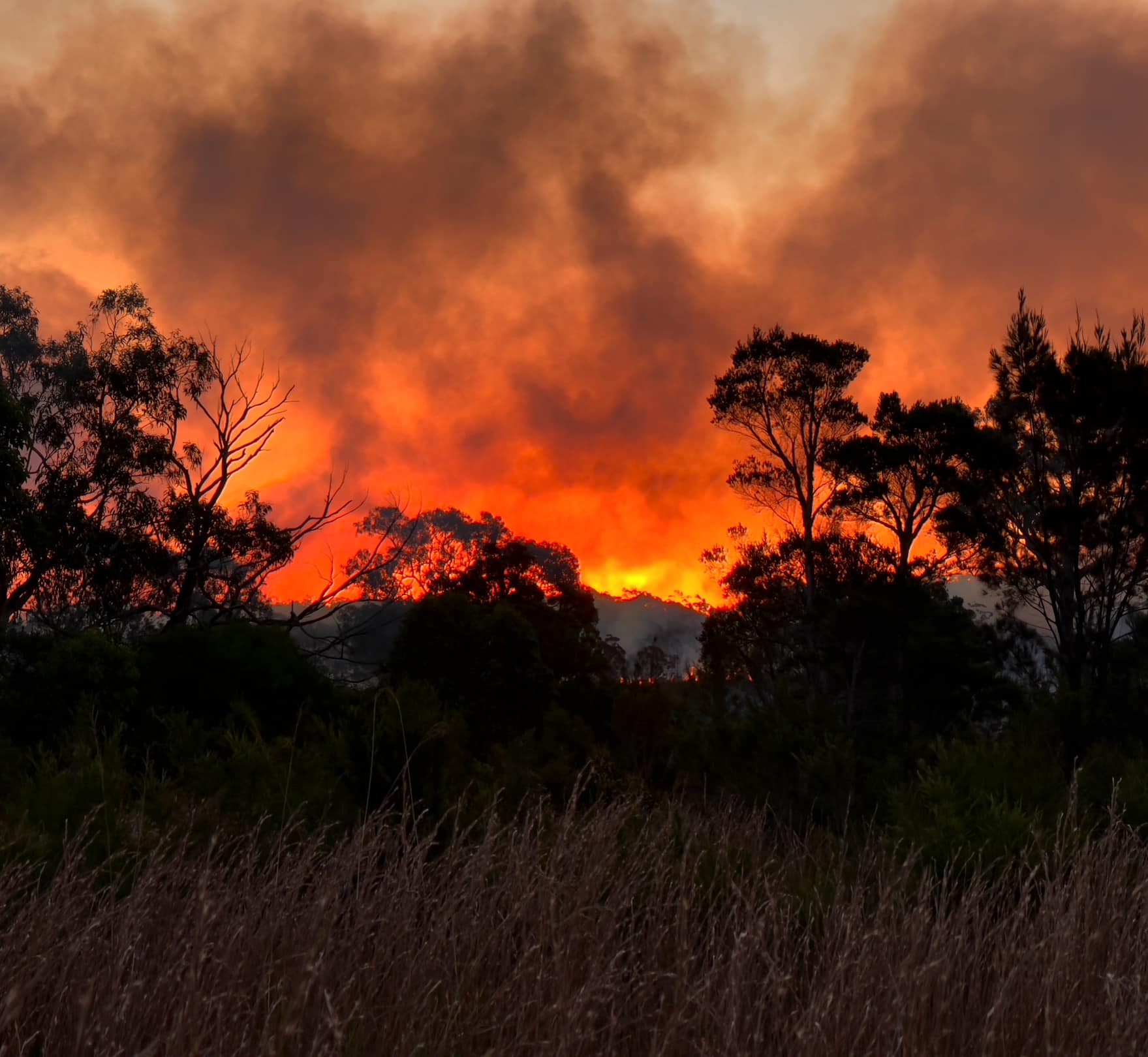 Wyee Point Rural Fire Brigade | Wyee Point NSW