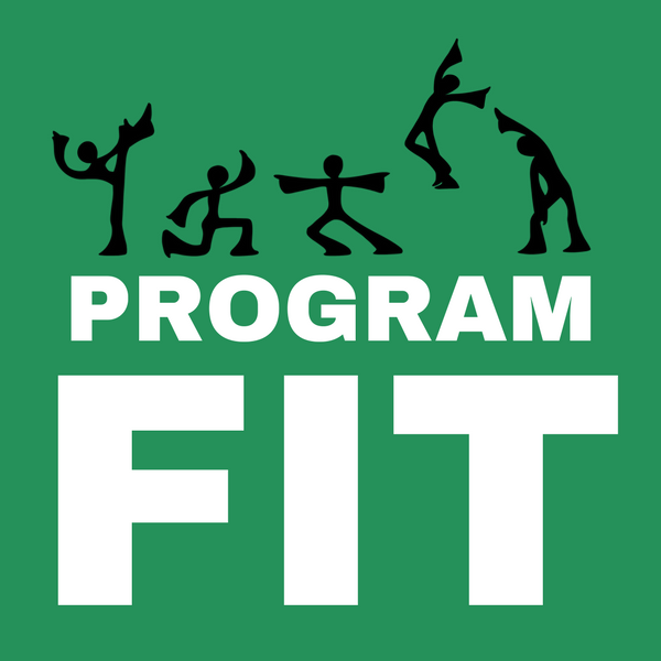 Program FIT