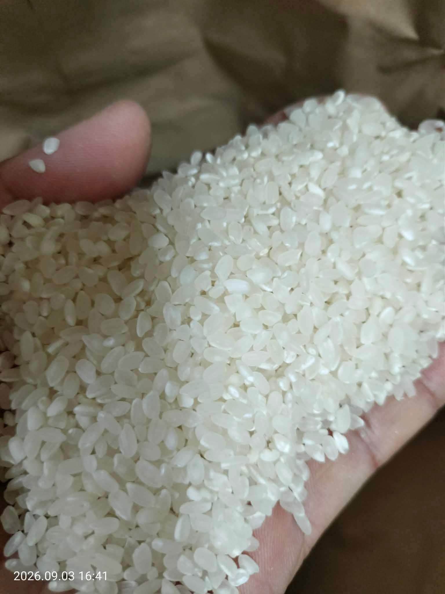 GẠO RẺ HIMAWARI 24KG 8*3 Gạo dân mới thu hoạch 📣mới xát