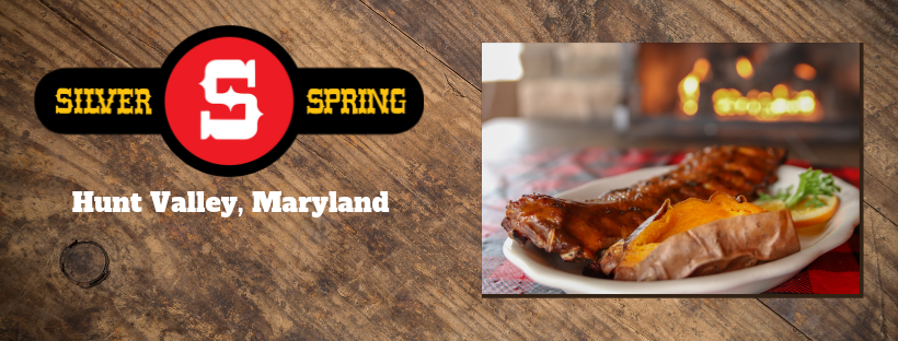 Silver Spring Mining Company-Hunt Valley | Cockeysville MD
