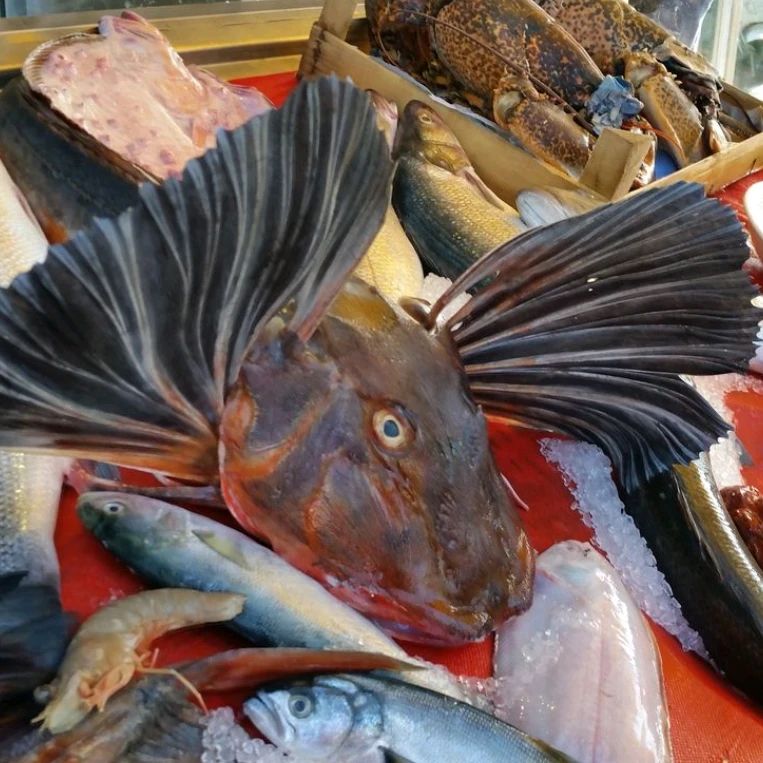 Tres Peces - Cuál es el pescado más raro que han comido ?... | Facebook