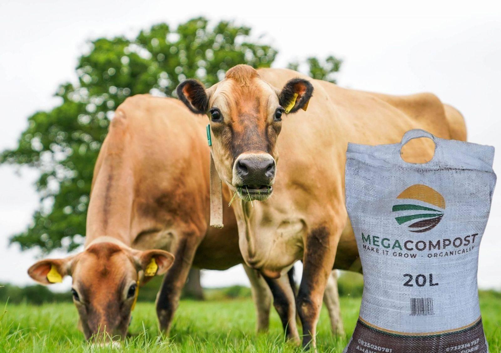 Jacobsdal Dairy | Jacobsdal