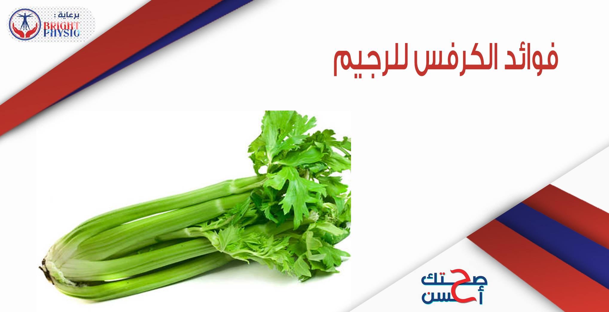 صحتك احسن فوائد الكرفس للرجيم الك ر ف س هو من الخضراوات التي يؤكل منها ساقها كما ويؤكل الك ر ف س نيئا أو أو مطهوا ويدخل كمكو ن مهم في السلطات وفي الأطعمة المطبوخة يدخل
