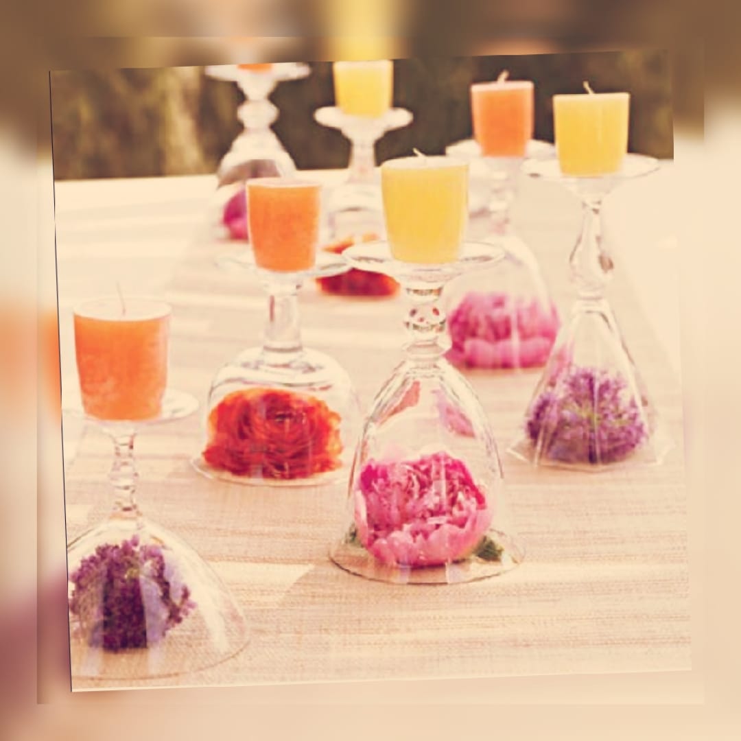 Wine _ نبيت