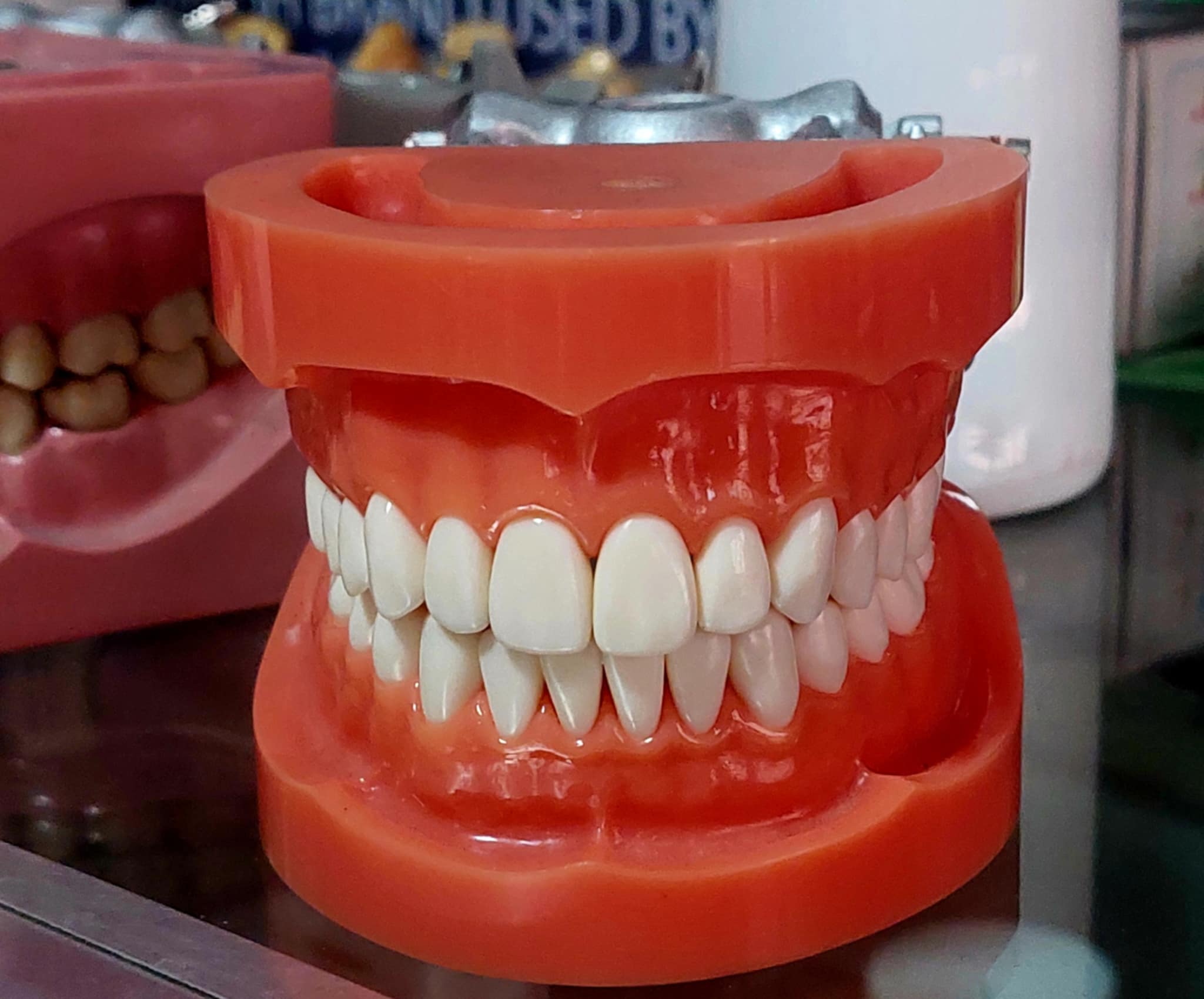 🦷✨ TOOTH be told… The Nissin B3-305 is the perfect way to start