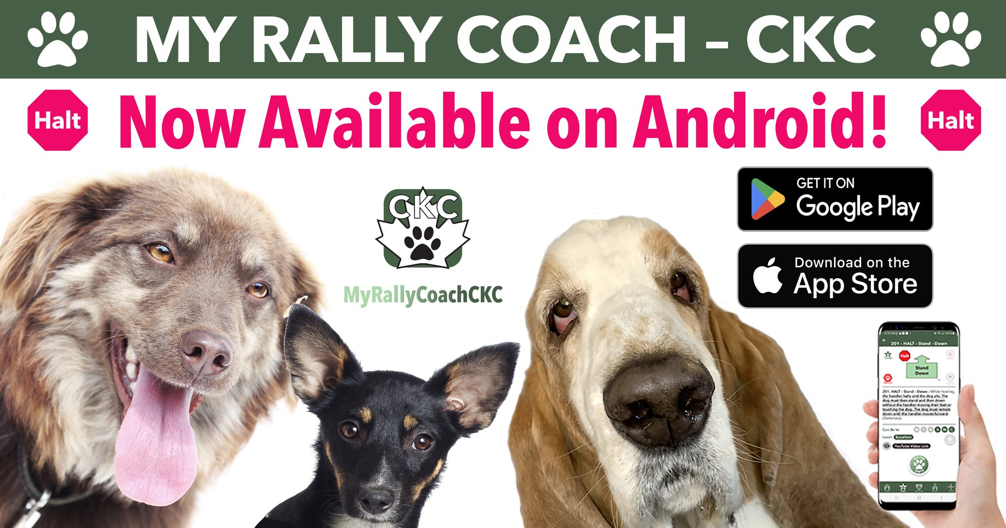 My Rally Coach App | San Diego CA