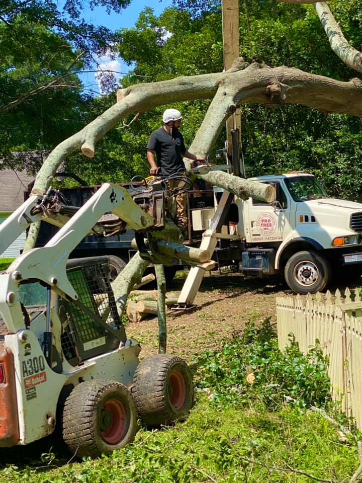 Pro Tree Service - Home | Facebook