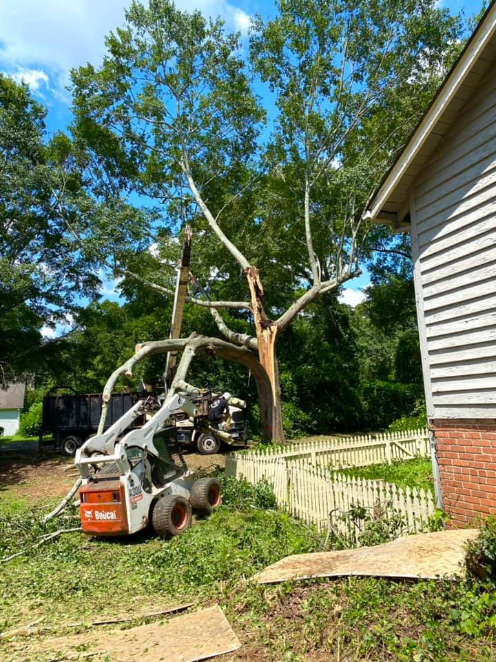 Pro Tree Service - Home | Facebook