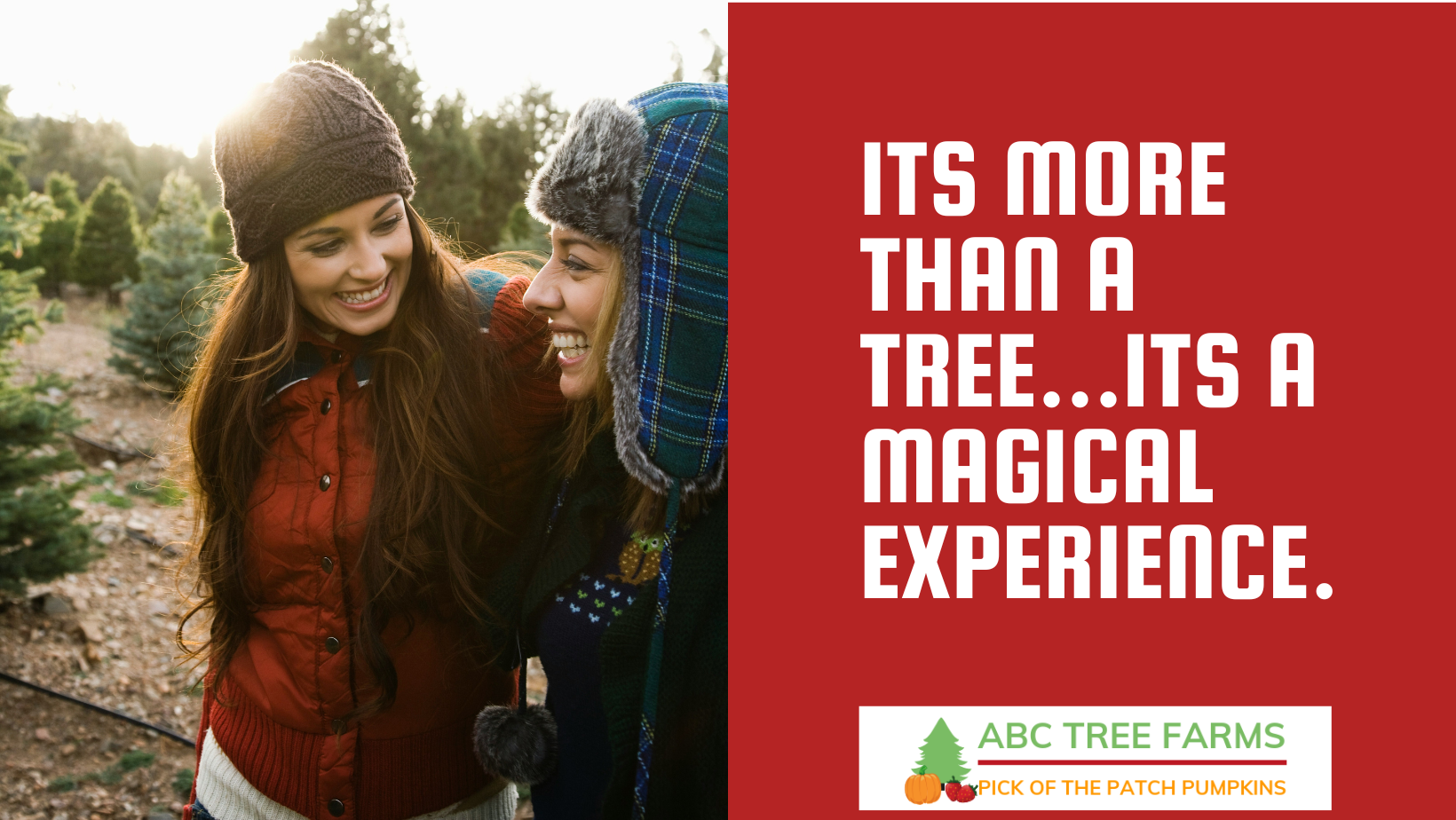 ABC Tree Farms San Francisco | San Francisco CA