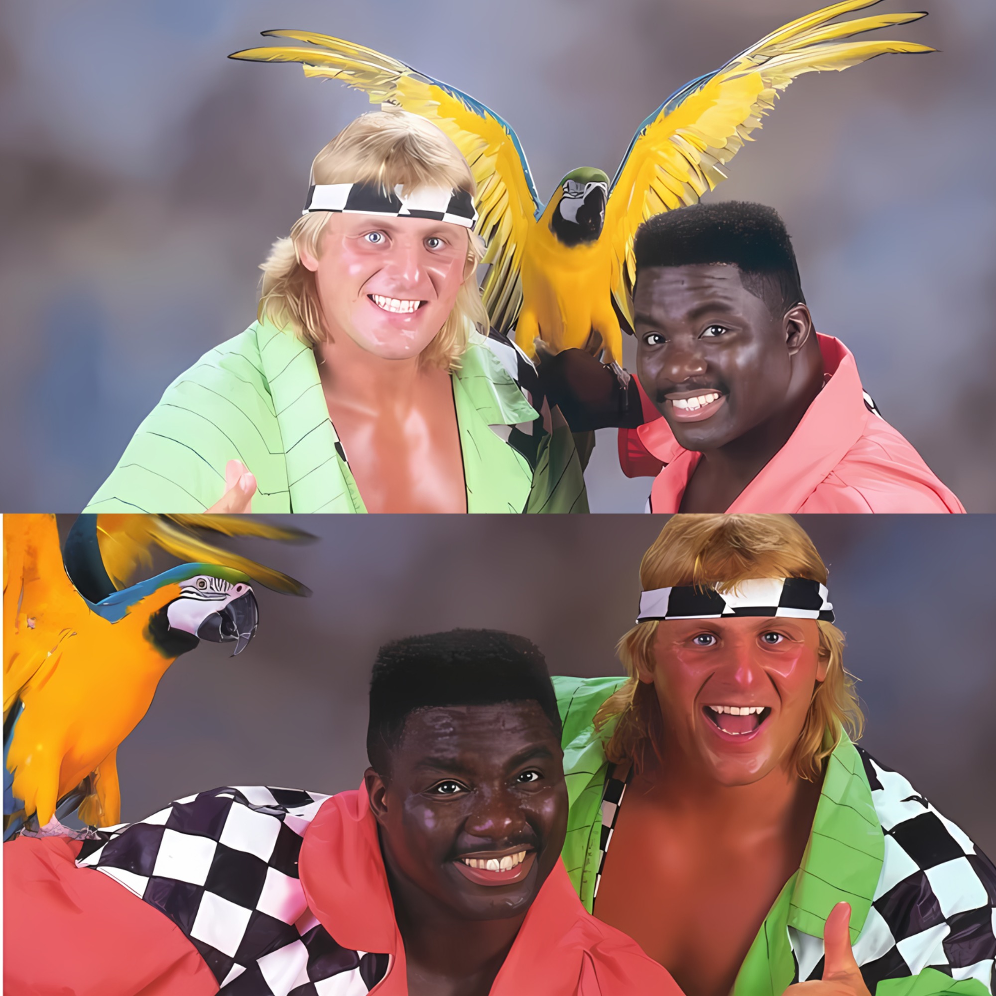 Ring - Step into the colorful world of 1990s WWE, where Owen Hart, one ...