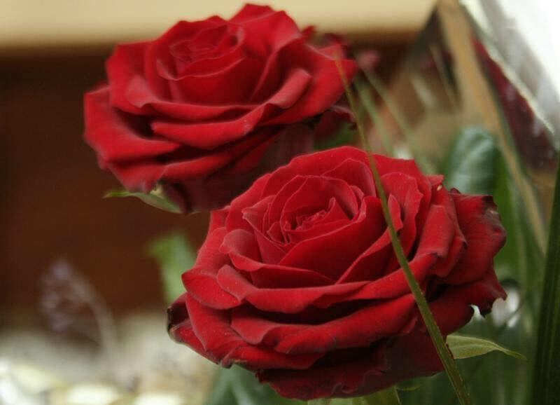 Phool