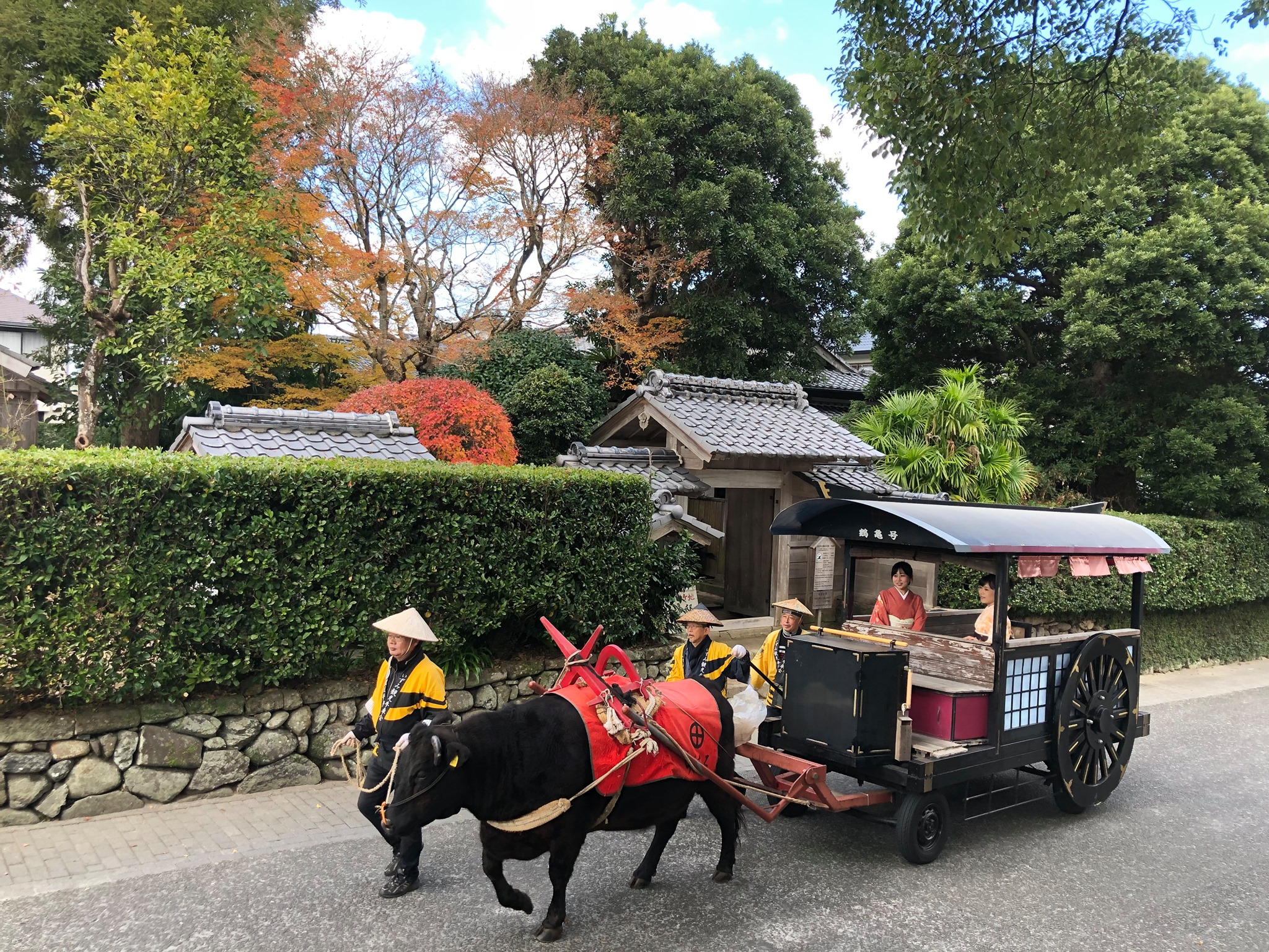 いずみ観光牛車会 - いずみ観光牛車会 added a new photo — at いずみ麓武家屋敷群.