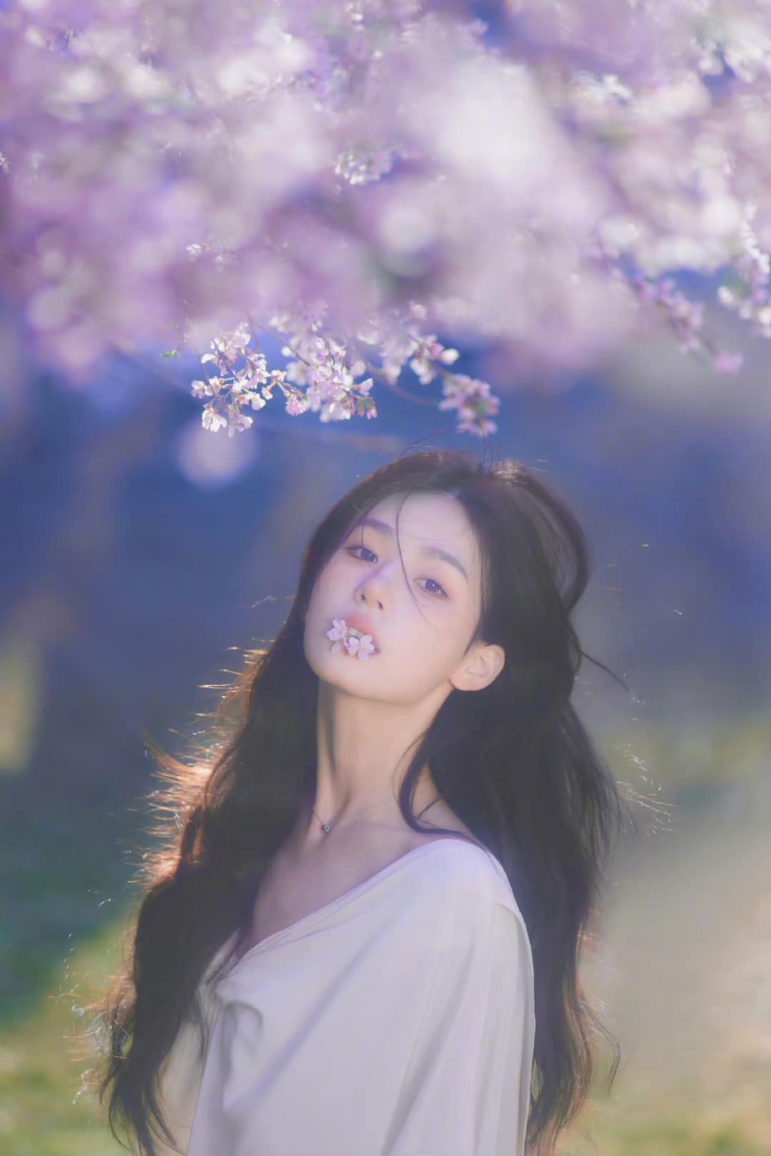 𝙑𝙄𝙍𝙂𝙄𝙉𝙄𝙀 - 🌸 我的生命是一万次的春和景明 📸: 写真收集 🧚🏻: 周小仙yoo