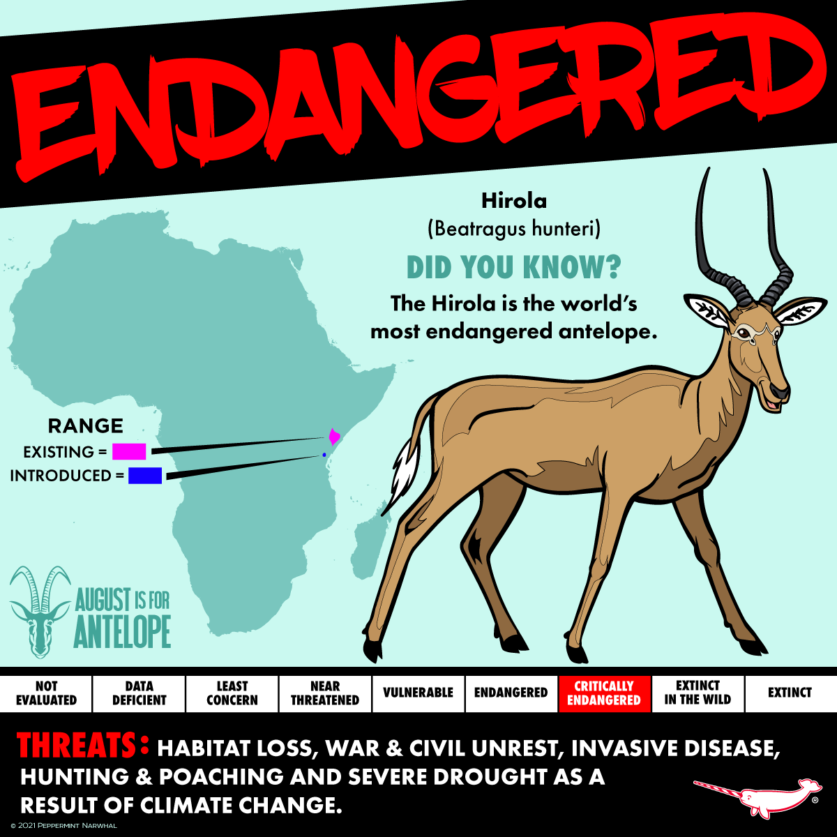 Peppermint Narwhal Creative - Today is Hirola Day! ENDANGERED: Hirola ...