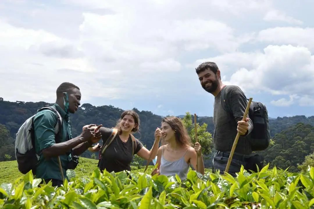 Kitabi EcoCenter | Nyamagabe