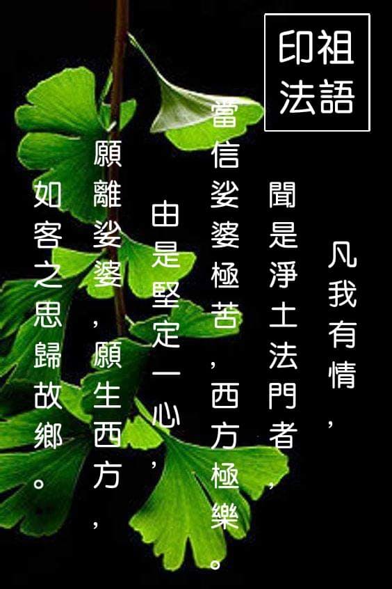 守五戒不殺生、不偷盜、不邪淫、不妄語、不飲酒 戒邪淫 戒色 色戒 放生 吃素