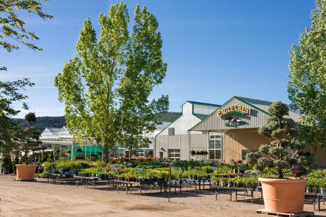 West Canyon Nurseries added a new... - West Canyon Nurseries