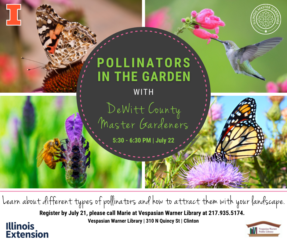 Learn about pollinators, which ones are native, and how to attract them ...