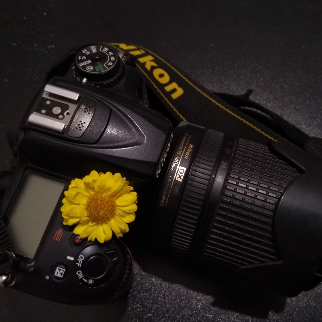 Dhrubo's Shaky Camera | Dhaka