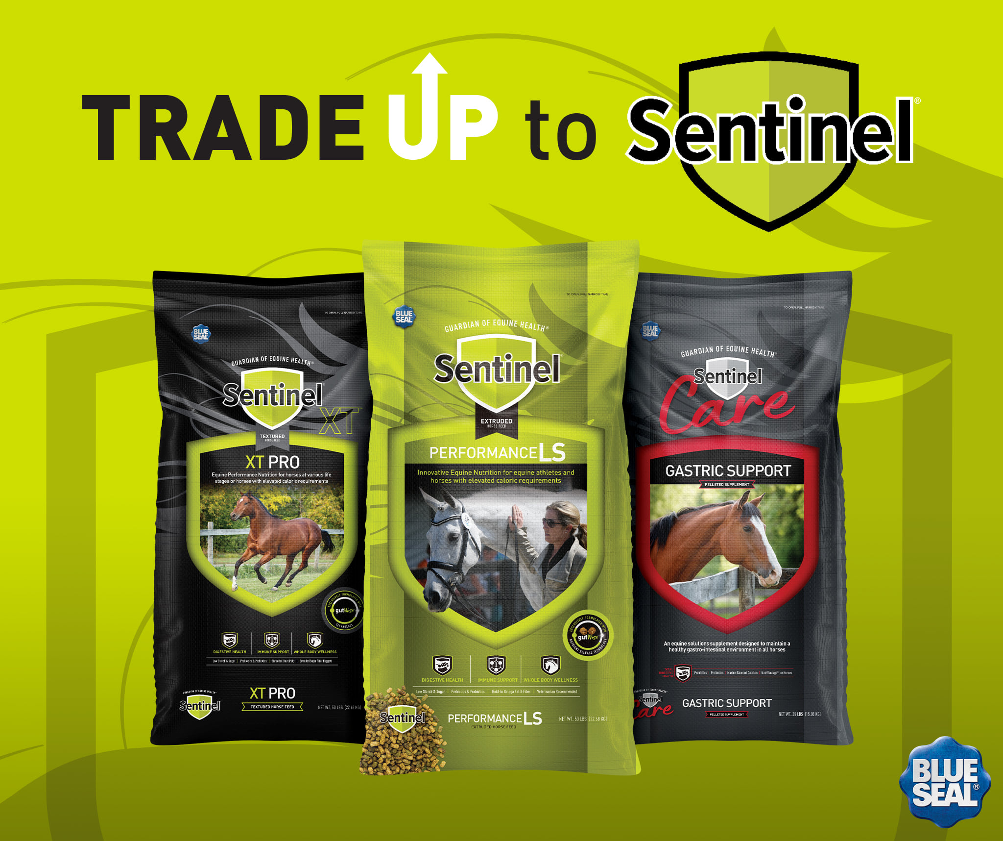 S.E. Smith, Inc - WANT A FREE BAG OF HORSE FEED!!! Blue...