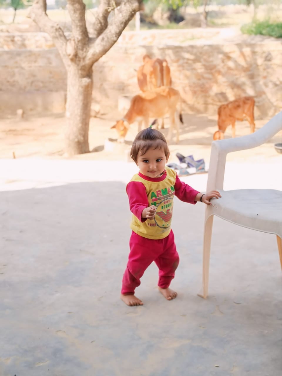 ravi Meena | Alwar