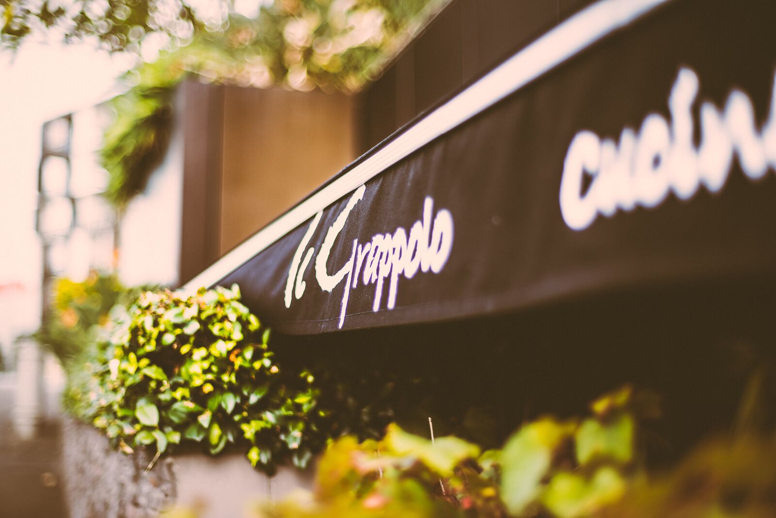 Il Grappolo | Rozelle NSW