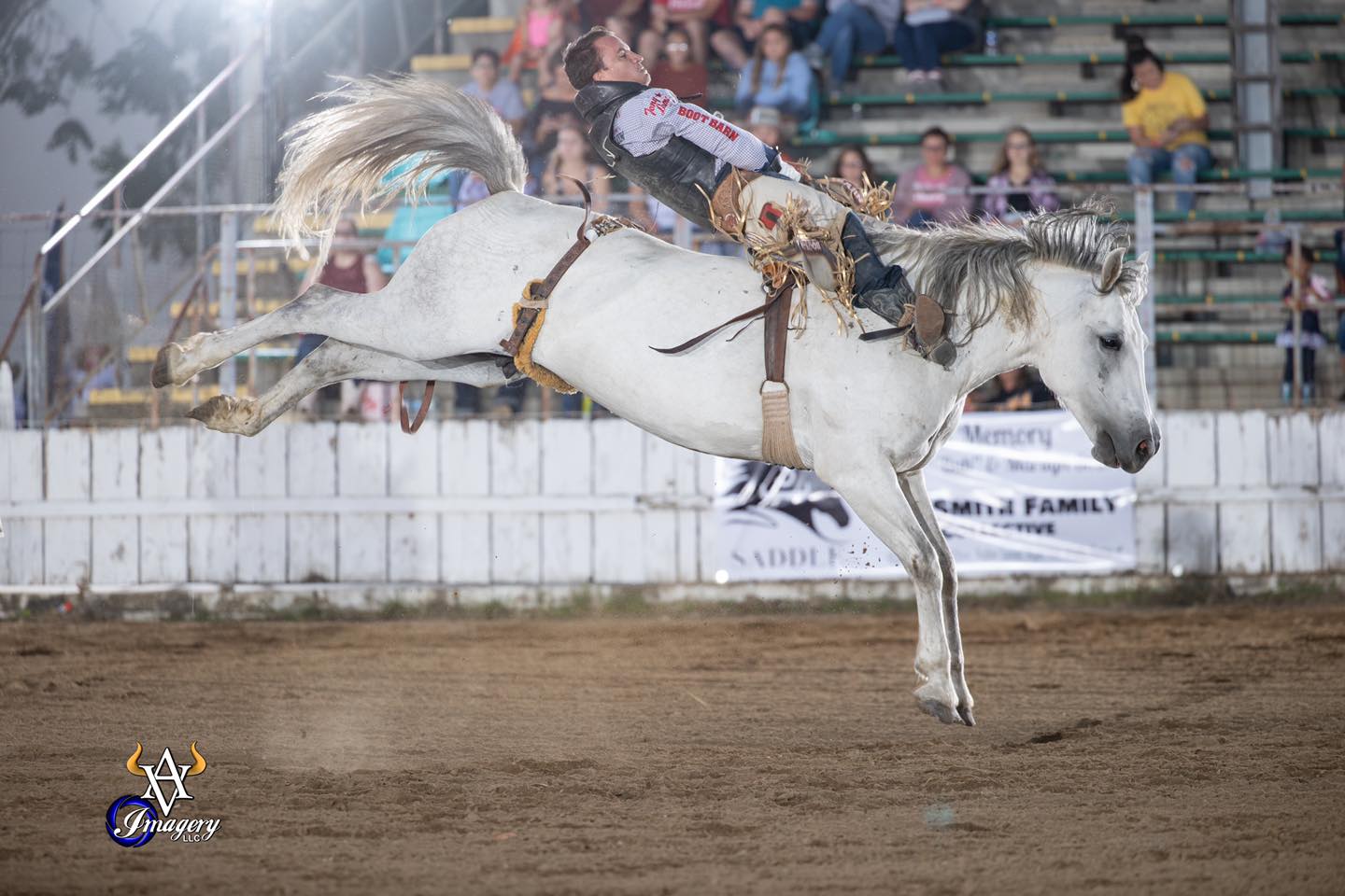 Jake Brown Professional Bareback Rider