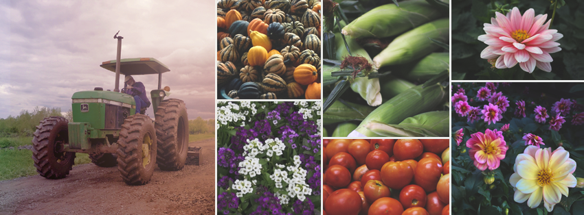 Cold Spring Brook Farm, Inc. | Berlin CT