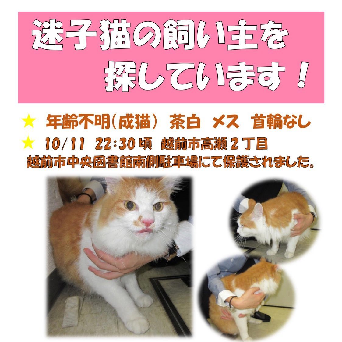 一般社団法人ふくい動物愛護管理支援センター協会 Posts Facebook