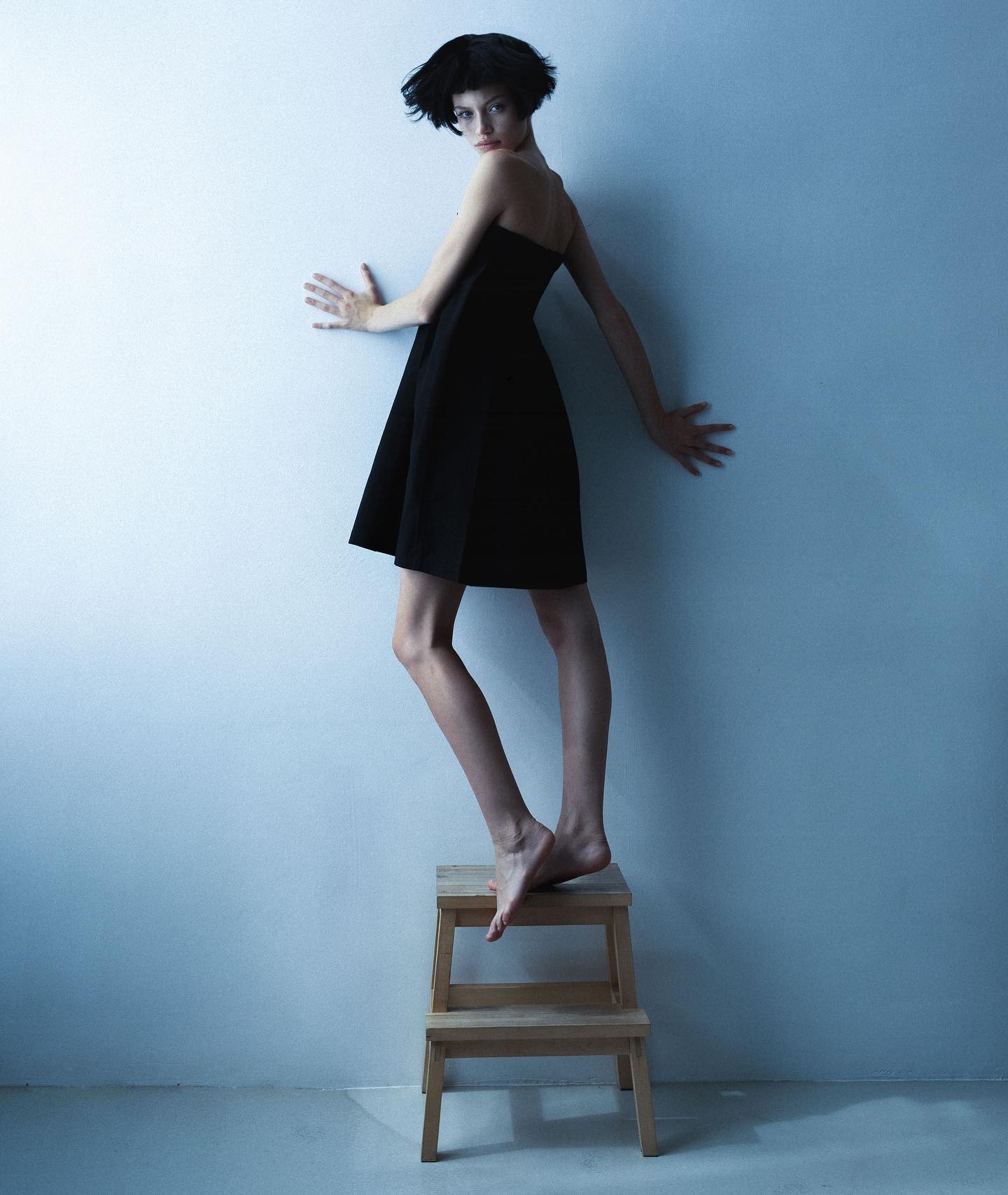 Desired Model Management 