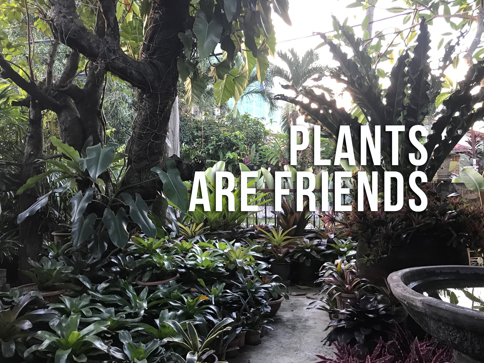 Tanjung Rhu Garden added a new photo. - Tanjung Rhu Garden