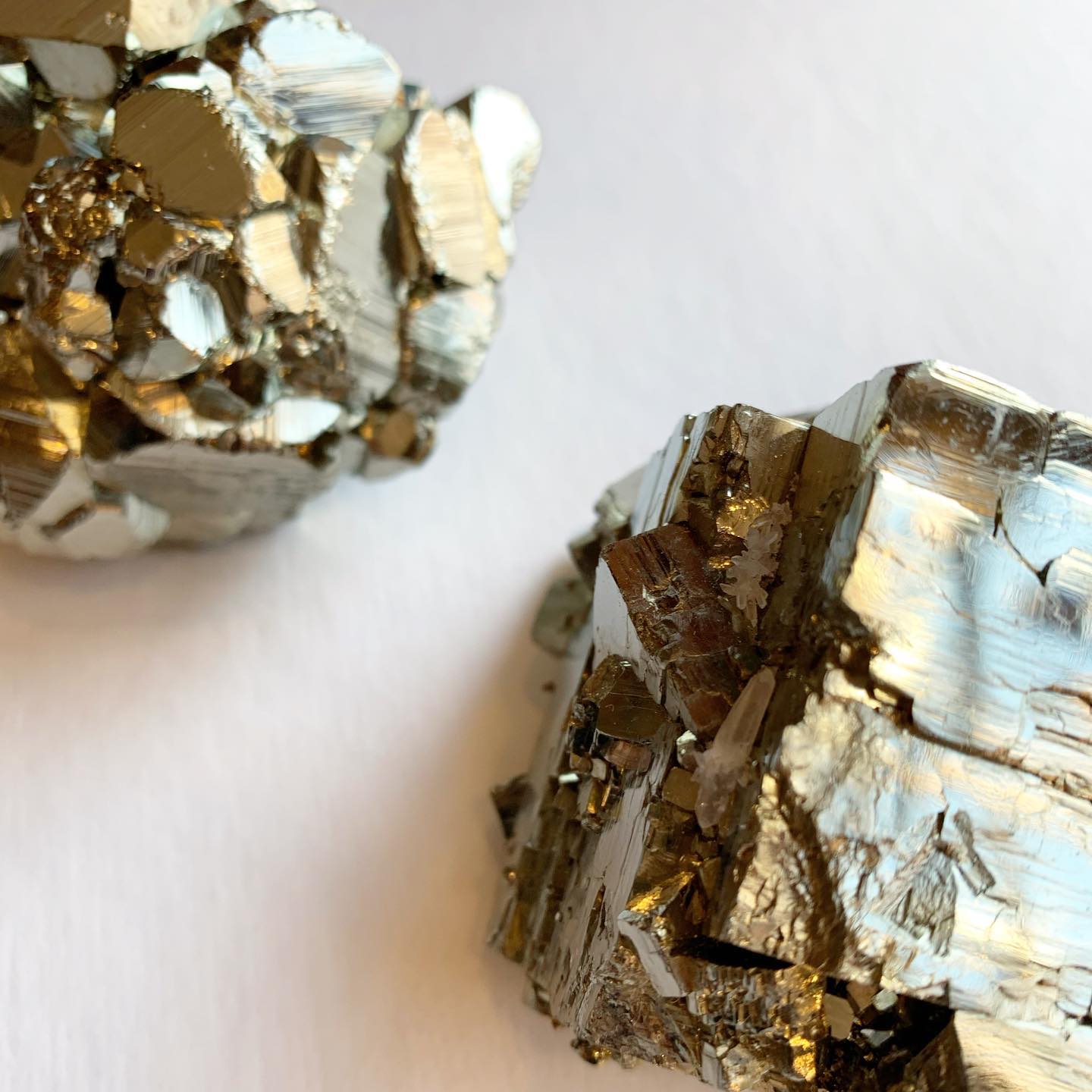 Get festive with... - Scallops Mineral and Shell Emporium