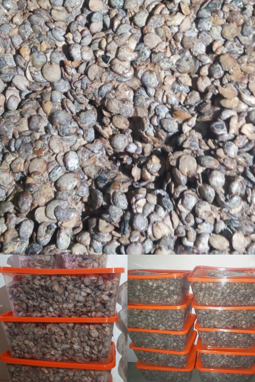 deedot.locust_beans