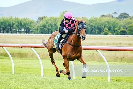 🎉 Winner 🎉 Yep that’s jockey... - Jason Warren Racing