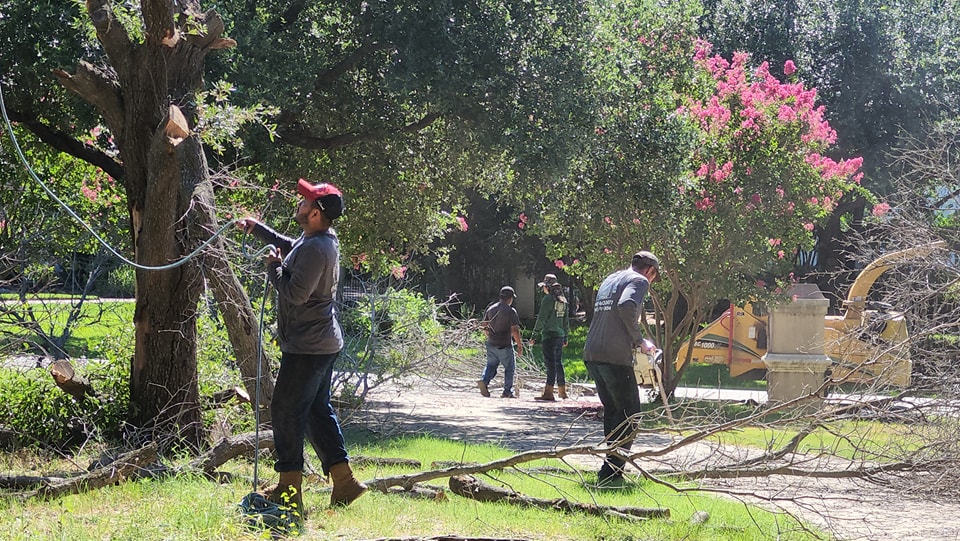 Angel's Tree Service, LLC | Denton TX