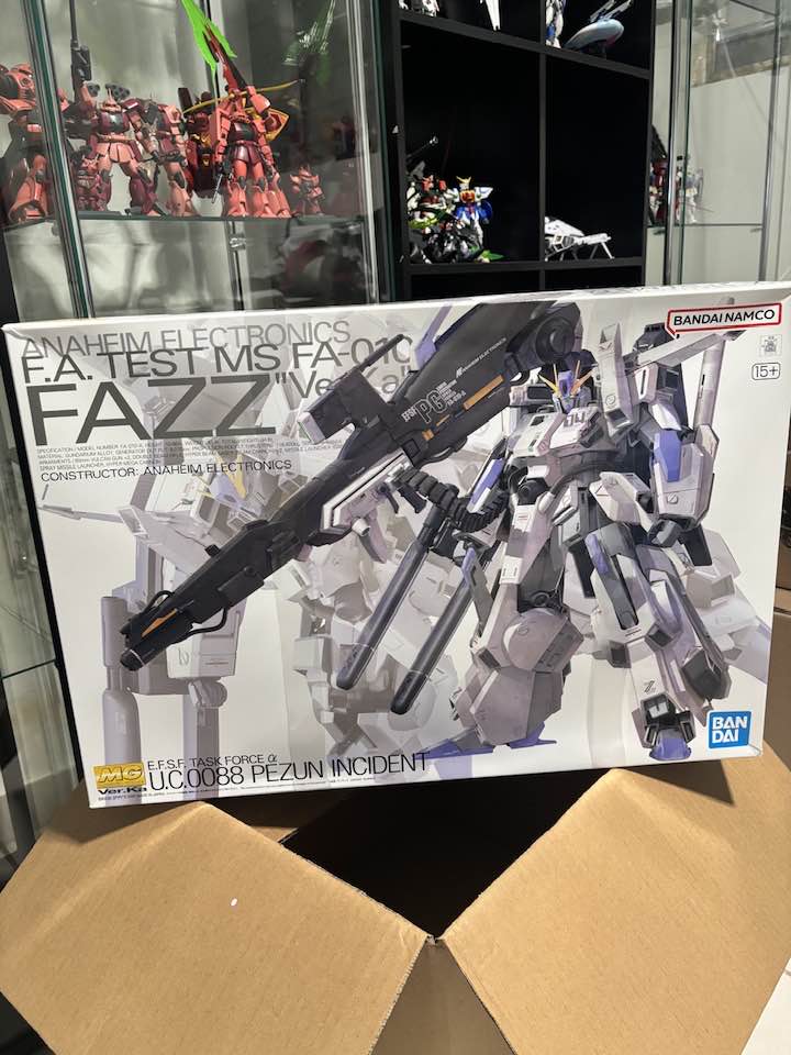 New mg 1/100 fazz ver.ka model kit