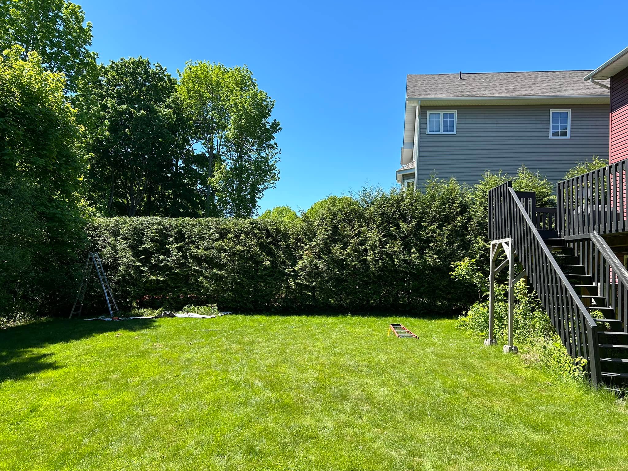 Gilmore Tree Service | Stanley NB
