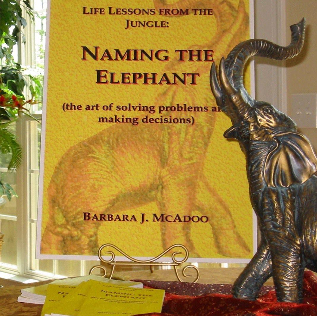 Naming the Elephant - The Art of Solving Problems and Making Decisions