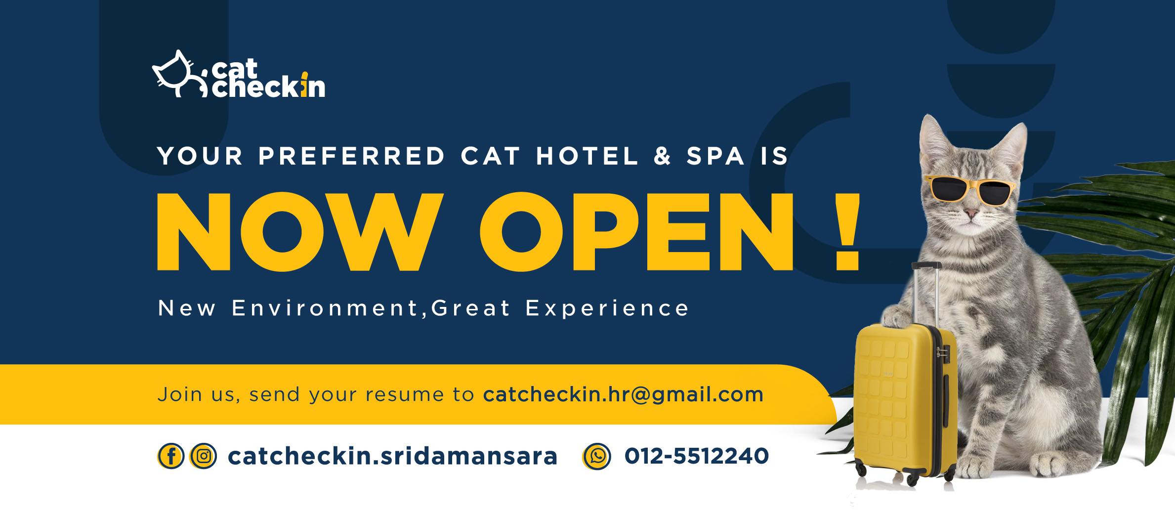 Cat Check-In Kuala... - Cat Check-In Kuala Terengganu