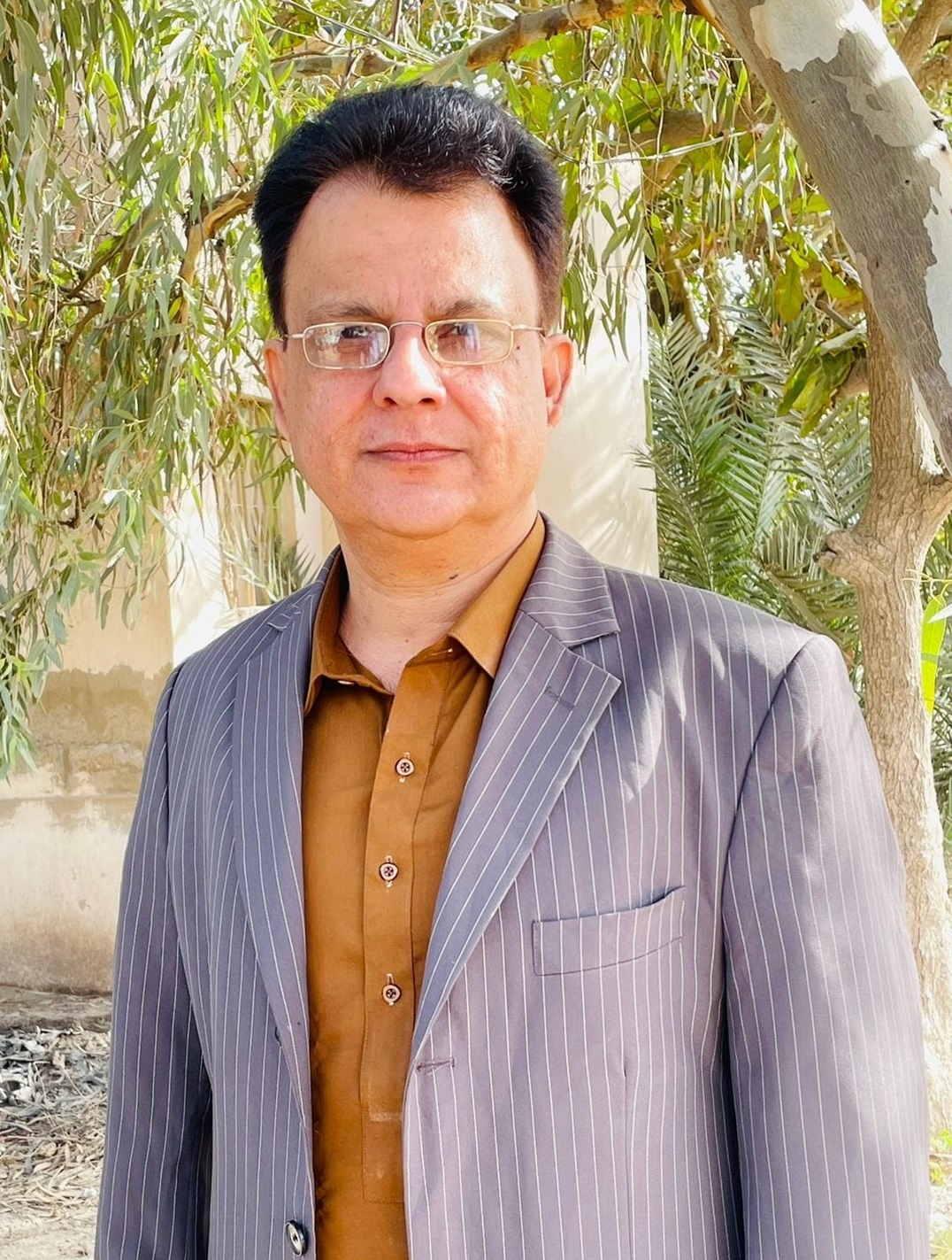 Ayaz Latif Palijo